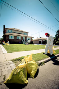 asbestos cleanup